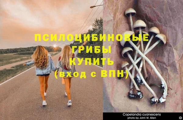 амф Алзамай