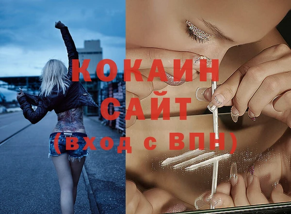 амф Алзамай