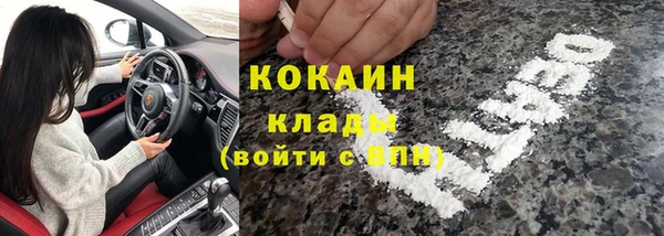 бошки Алексин