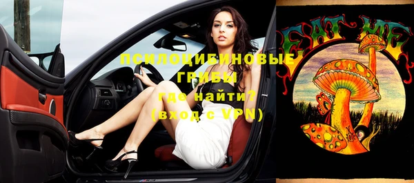 бошки Алексин