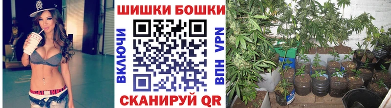 Шишки марихуана марихуана  OMG как войти  Пикалёво 